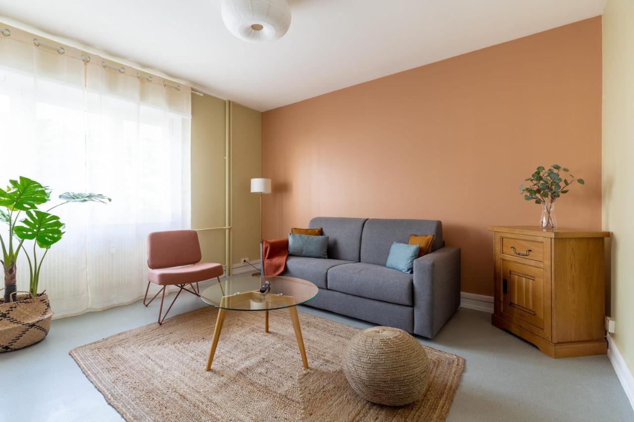 Travel Homes - Le Freedom, Chaleureux & Spacieux Mulhouse Luaran gambar